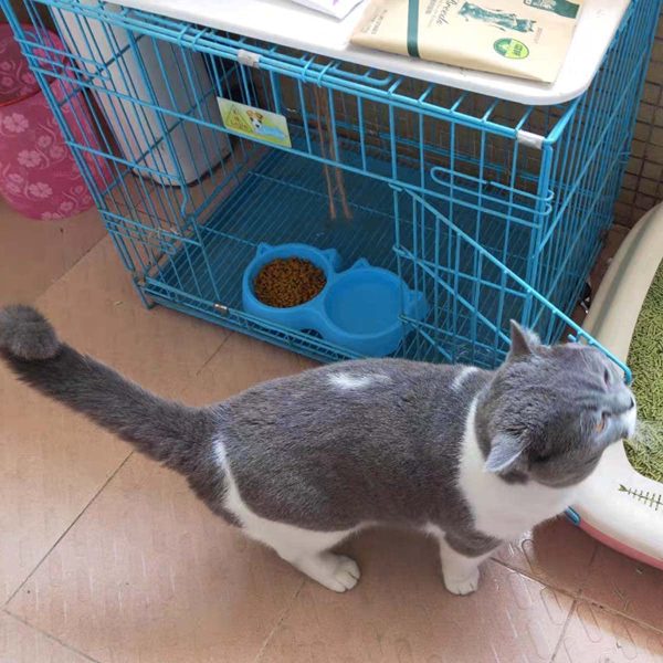 Cute Cat-Shaped Double Food Bowl | Durable Plastic Pet Feeder | Food & Water Dish for Cats & Small Pets (Random Colors)
